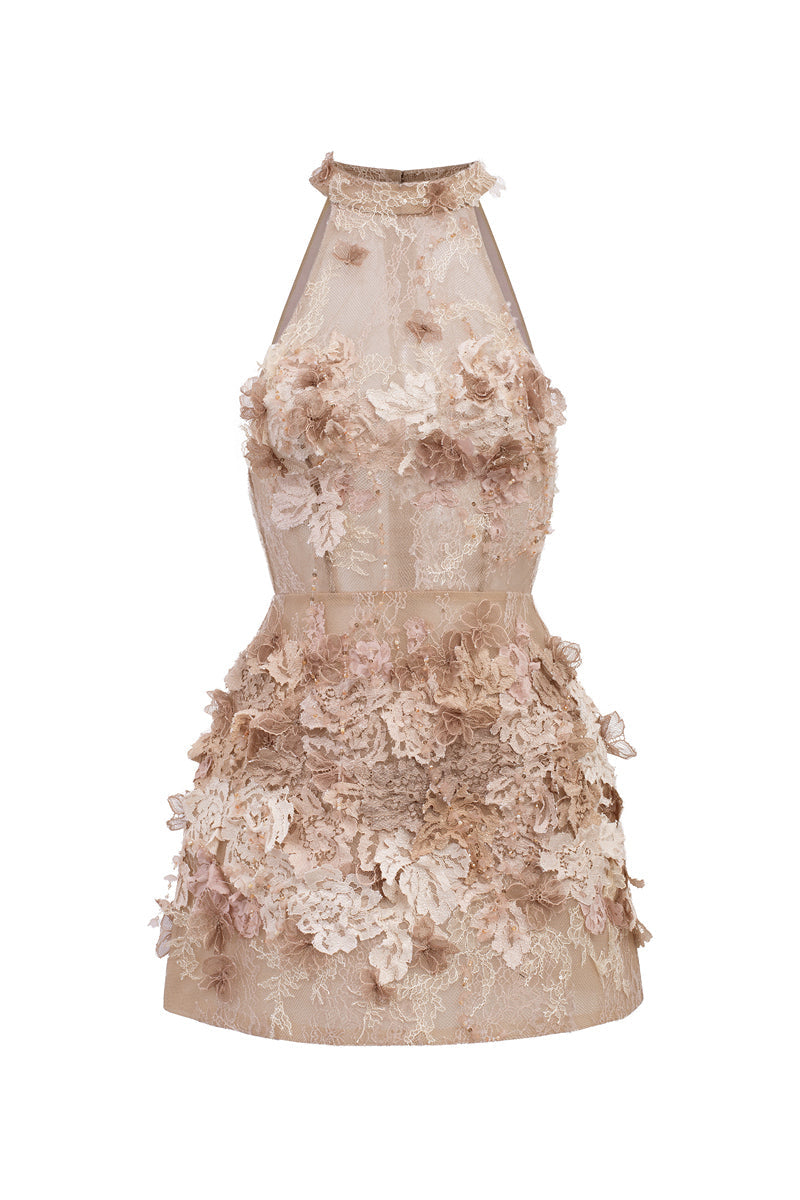 EMILIA LACE DRESS IN BEIGE