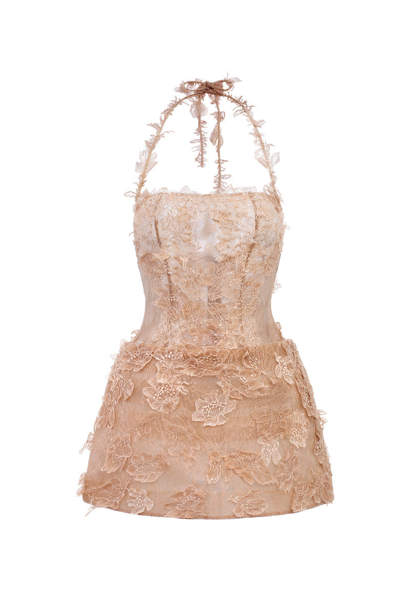 ELISA LACE DRESS IN BEIGE
