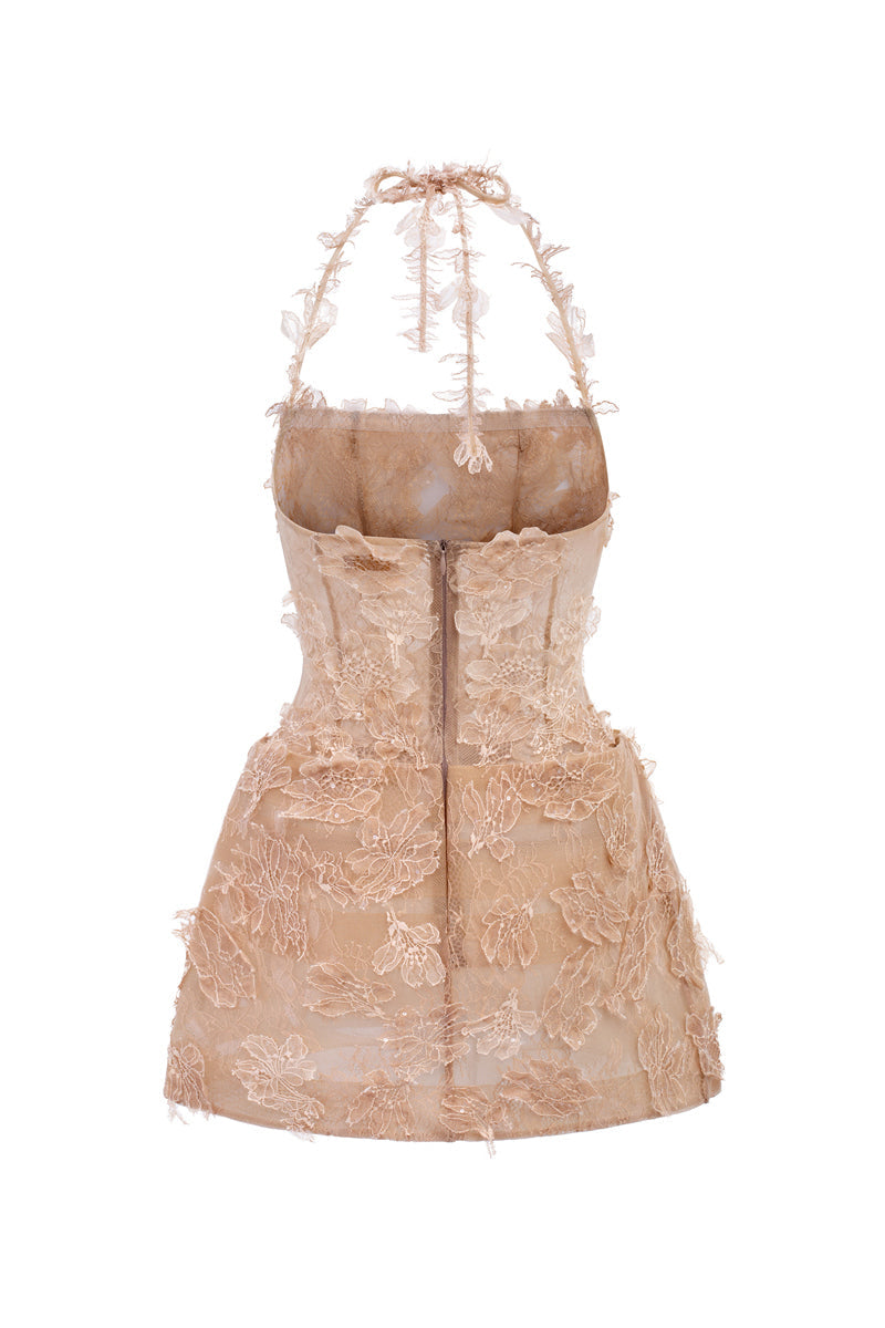 ELISA LACE DRESS IN BEIGE