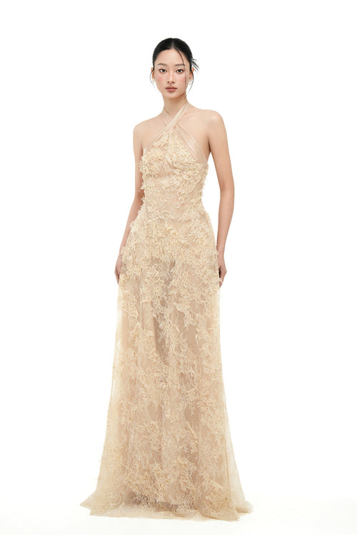 ALISA LACE DRESS IN BEIGE