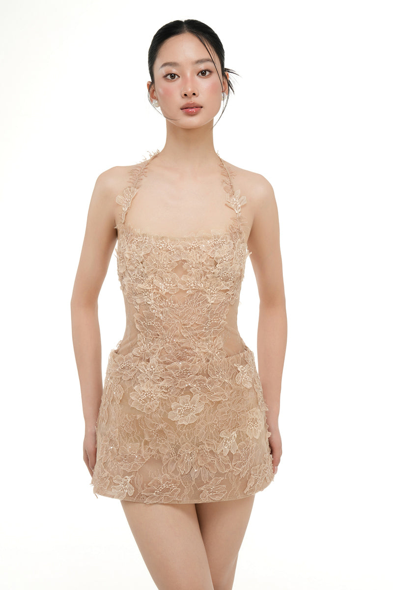 ELISA LACE DRESS IN BEIGE