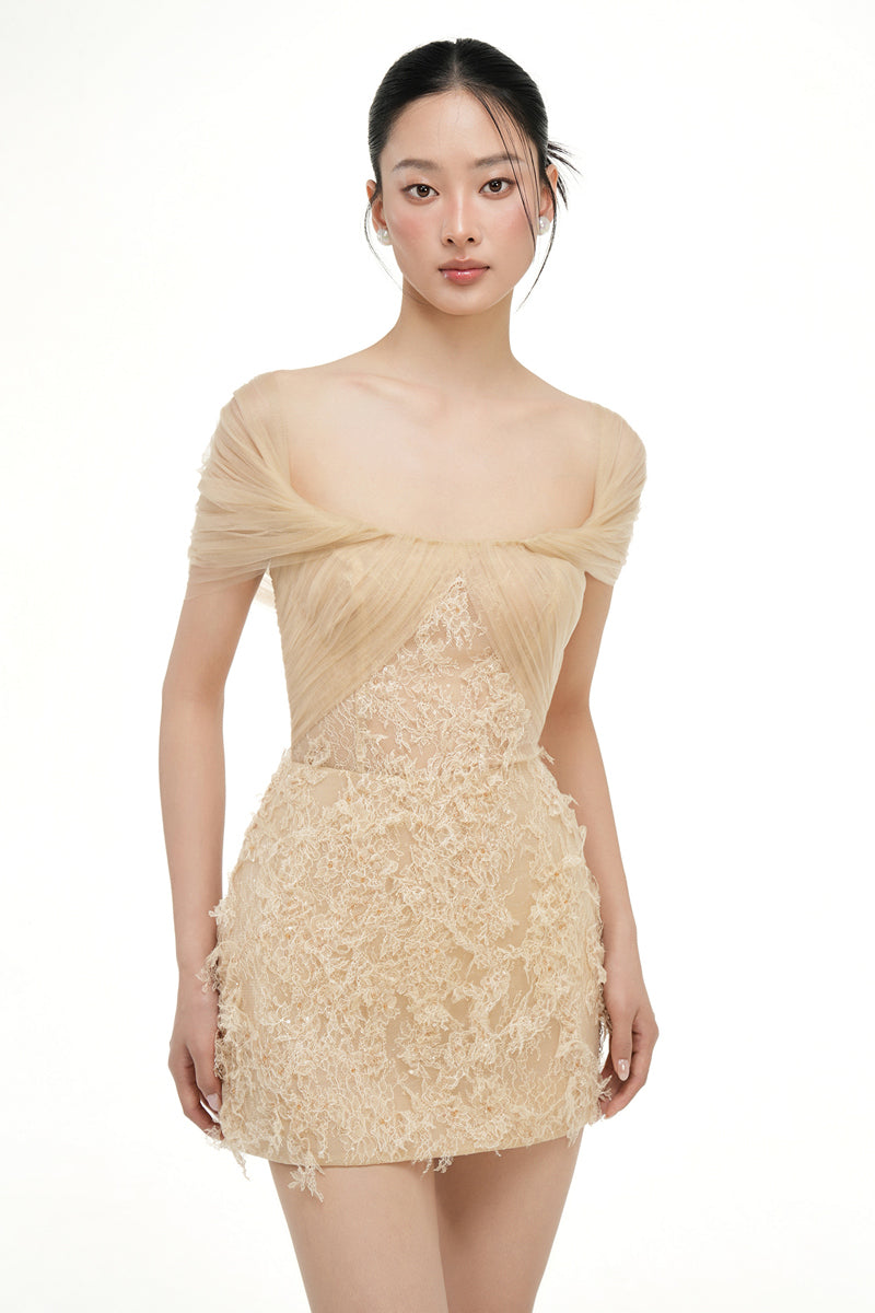BIANCA LACE DRESS IN BEIGE